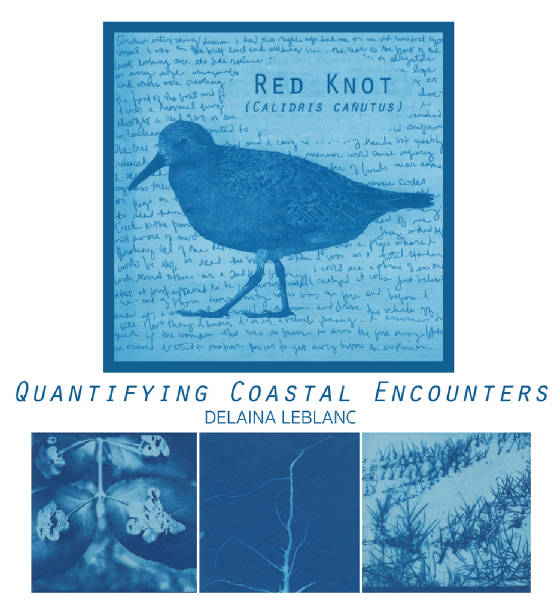 QuantifyingLasCoast_web.jpg
