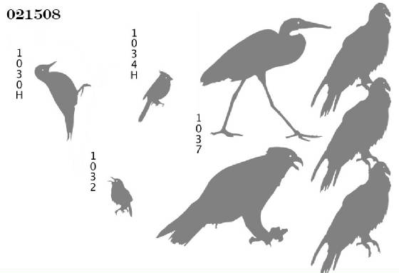 assightedbirdsilhouettes.jpg