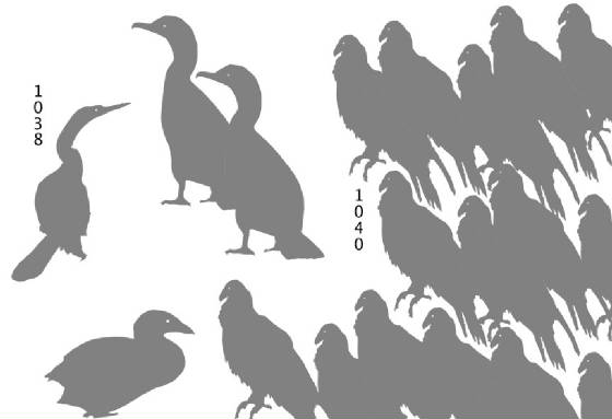 assightedbirdsilhouettespt2.jpg