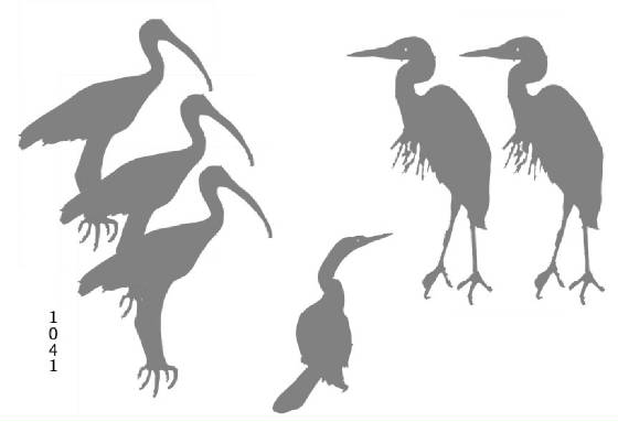 assightedbirdsilhouettespt3.jpg