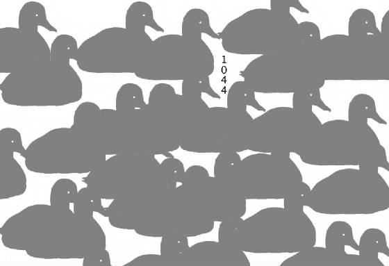 assightedbirdsilhouettespt4.jpg