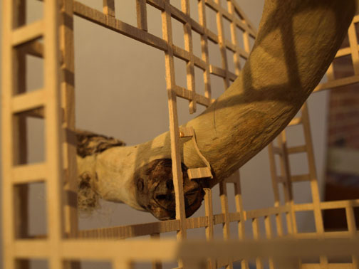 Adrift detail.jpg